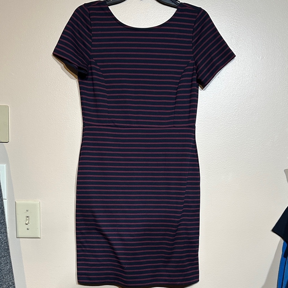 Banana Republic Navy and Red Striped Mini Dress